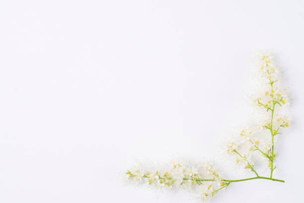 istock Frame of flowers on the table 931189174