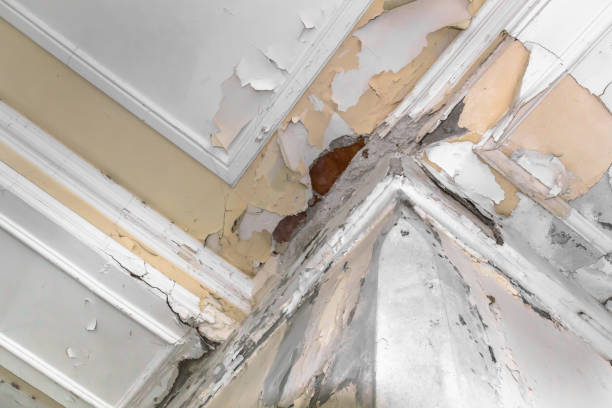 istock Ceiling and walls damage by humidity 931193476