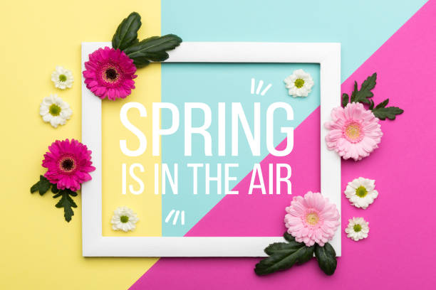 Welcome Spring Themed Pastel Coloured Background. Spring time floral flat lay minimalism greeting card.
