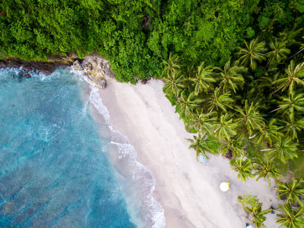 istock Bali - beach from above. Straight drone shot 931205088