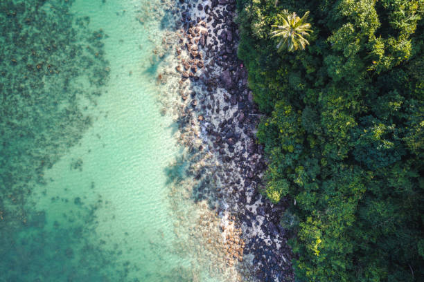 istock aerial drone flight over beautiful beach in thailand, koh samui 931213068