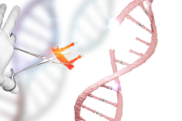 遺伝子編集遺伝子療法ゲノム編集 dna 操作の dna 遺伝子研究に鉗��子を持っている手袋をはめた手を編集 - splice ストックフォトと画像