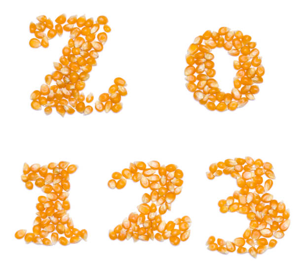 Numbers made of corn seeds stock photo