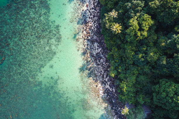 istock aerial drone flight over beautiful beach in thailand, koh samui 931213128