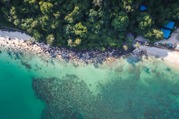 istock aerial drone flight over beautiful beach in thailand, koh samui 931213166