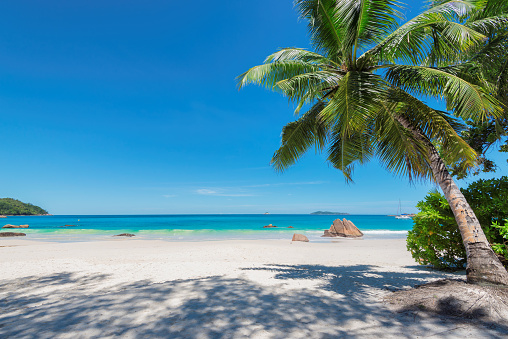 Anse Lazio beach at Praslin island, Seychelles. Fashion travel and tropical beach concept.