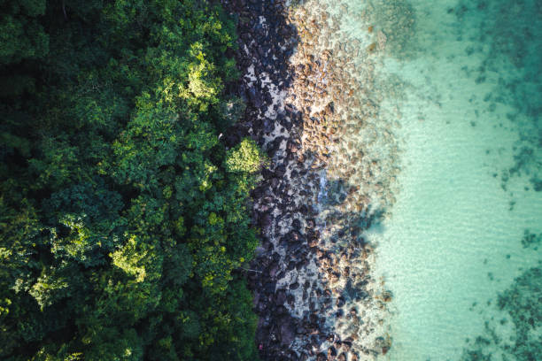 istock aerial drone flight over beautiful beach in thailand, koh samui 931213752