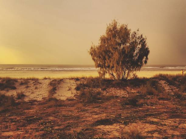 istock Sunset on the Gold Coast, Queensland Australia 931221256