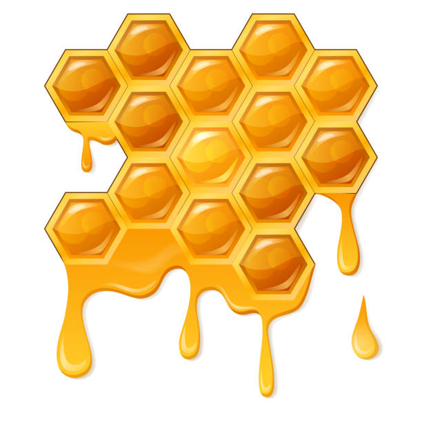 Honeycomb With Flowing Honey Stock Illustration - Download Image Now -  Drop, Honeycomb - Animal Creation, Hexagon - iStock