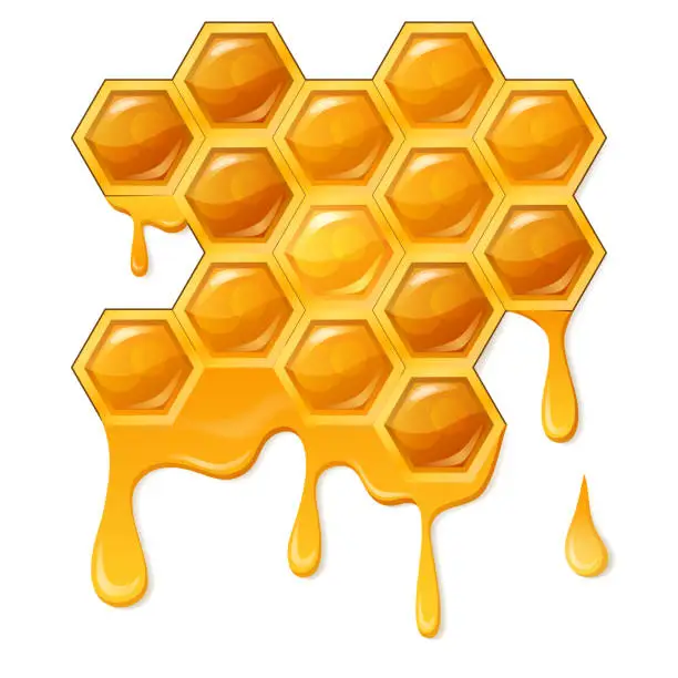 Vector illustration of Honeycomb with flowing honey