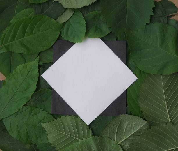 istock Background of green leaves with a paper 931227100