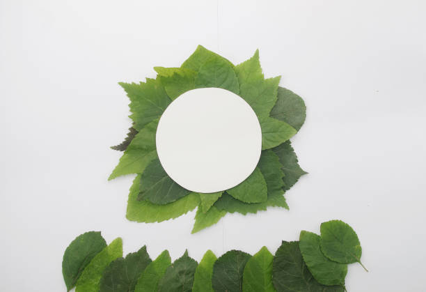 istock Background of green leaves with a paper 931227234