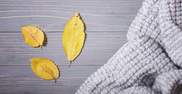 istock Autumn knitted sweaters and leaves 931227896