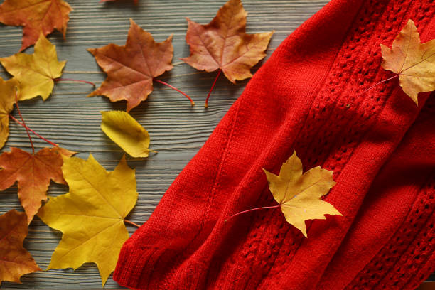 istock Autumn accessories knitted sweaters and leaves 931230418