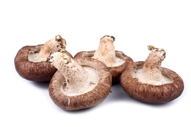 istock Shiitake mushrooms isolated on white background 931232224