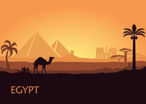 ilustrações de stock, clip art, desenhos animados e ícones de camel in wild africa pyramids landscape background illustration - luxor
