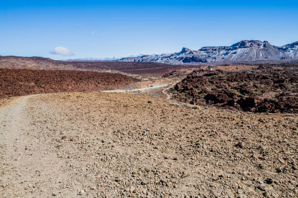 el teide national park, teneriffa - stony desert stock-fotos und bilder