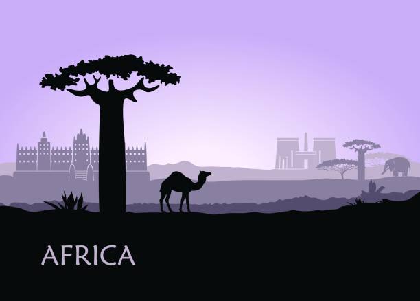 ilustrações de stock, clip art, desenhos animados e ícones de evening landscape with camels, baobabs and architecture of africa - luxor