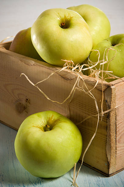 Otoño Manzanas - foto de stock
