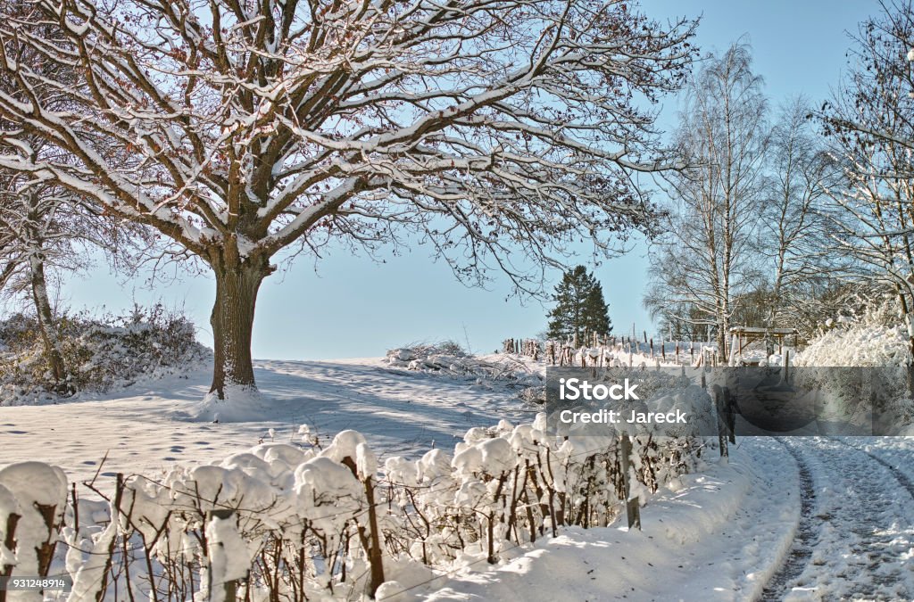 Phong Cảnh Mùa Đông Đức Hình ảnh Sẵn có - Tải xuống Hình ảnh Ngay bây giờ -  Anpơ, Băng - Nước đông lạnh, Bầu trời - iStock