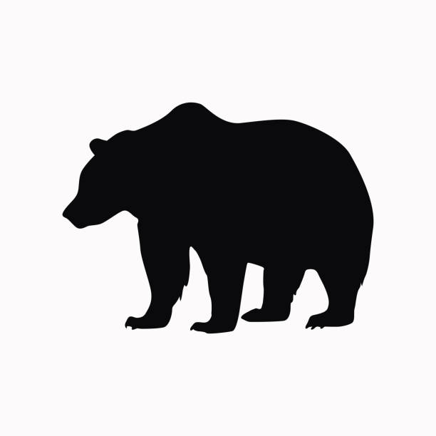 illustrations, cliparts, dessins animés et icônes de ours vector icon. - grizzli