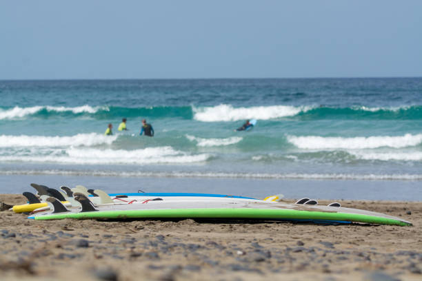 istock Surf boards on sandy beach, surfschool Famara beach, Lanzarote 931249814