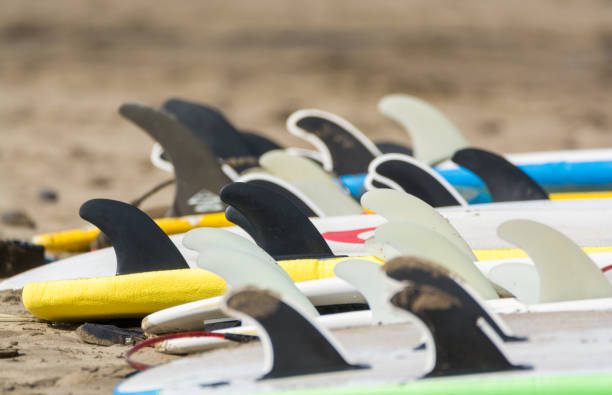 istock Surf boards on sandy beach, surfschool Famara beach, Lanzarote 931249912