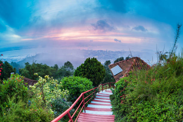istock George Town City view from Penang Hill during dawn 931252800