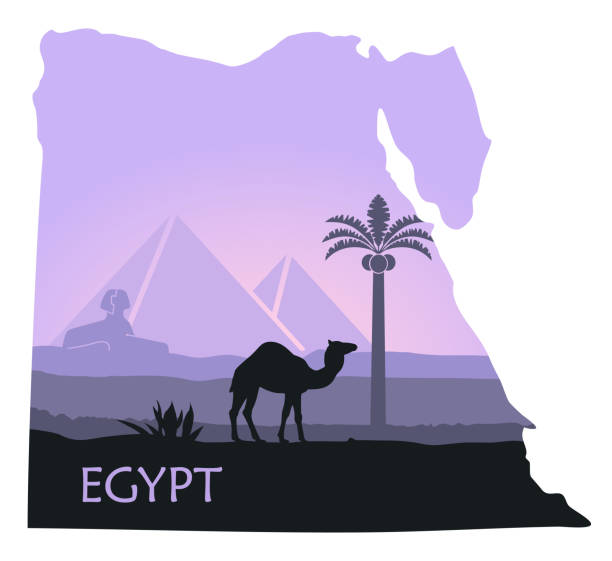 illustrazioni stock, clip art, cartoni animati e icone di tendenza di il paesaggio dell'egitto con un cammello, le piramidi e la sfinge sotto forma di mappe - sphinx night pyramid cairo