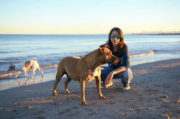 istock Young woman with her dogs on a beach 931258238