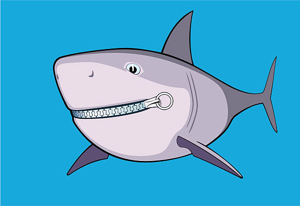 Shark zipped vector art illustration