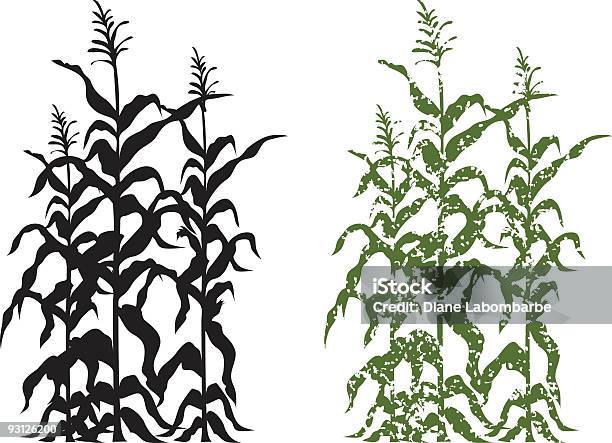 Kukurydza Stalk Roślin W Czarnej I Zielonej Grunge Ilustracja Wektorowa - Stockowe grafiki wektorowe i więcej obrazów Kukurydza - Zea