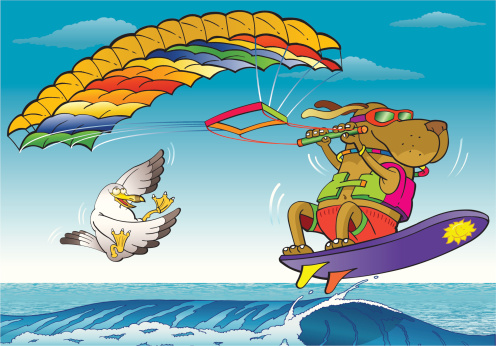 Kite Surfing Dog