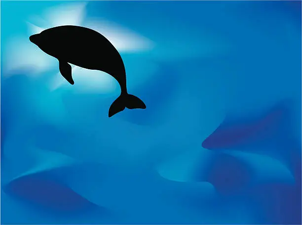 Vector illustration of dolphin silhouette