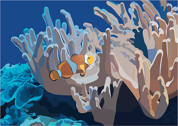fish vector art illustration