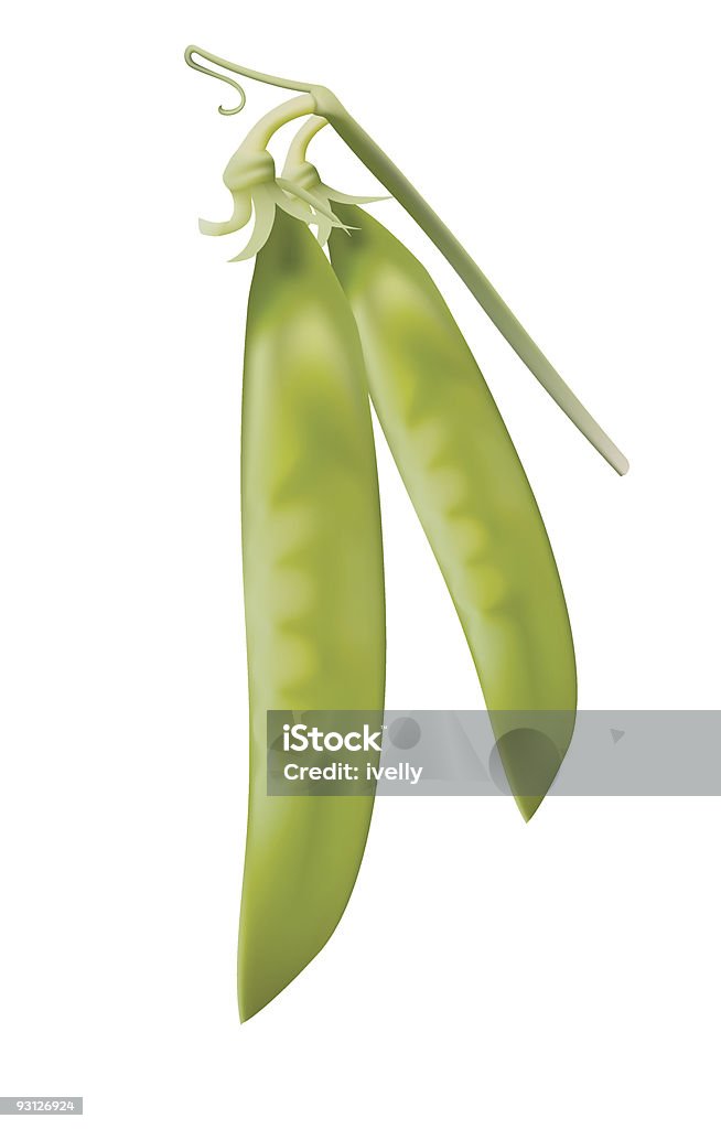 Green peas.  Sugar Snap Pea stock vector