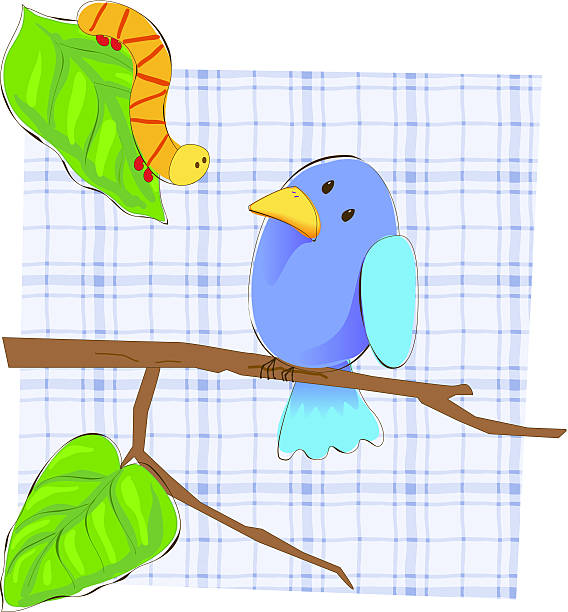 Worm and Bird vector art illustration