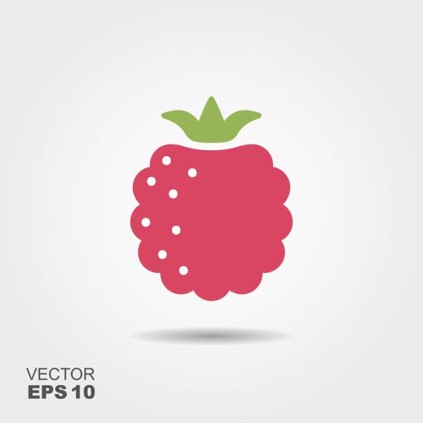 illustrations, cliparts, dessins animés et icônes de framboise icône plate avec shadow - raspberry