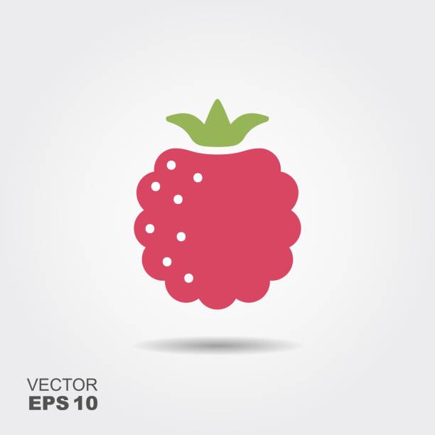 ilustrações de stock, clip art, desenhos animados e ícones de raspberry flat icon with shadow - framboesa
