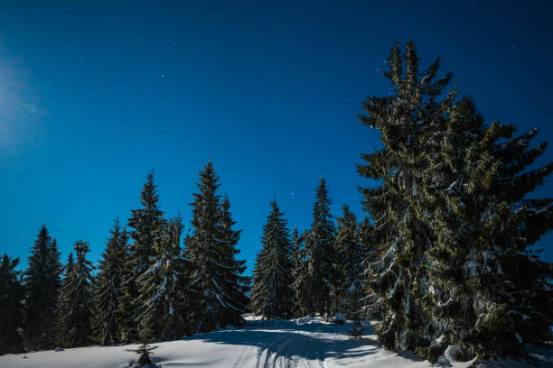 istock Night stars in the snowy mountains 931279726