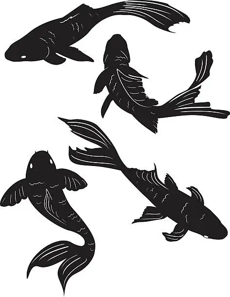 Vector illustration of Set of Four Swimming Poses Koi Pond Fish Black Silhouettes