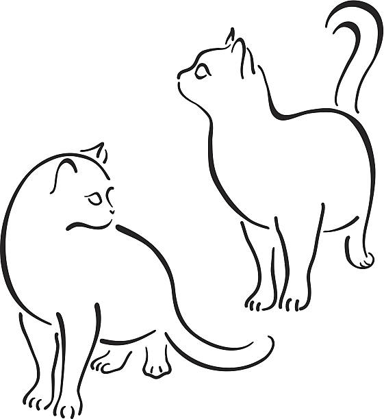 cat design-set (line art - scribble inks on paper black art stock-grafiken, -clipart, -cartoons und -symbole