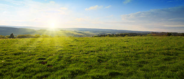 hermosa puesta de sol sobre el campo verde primavera - prado fotografías e imágenes de stock