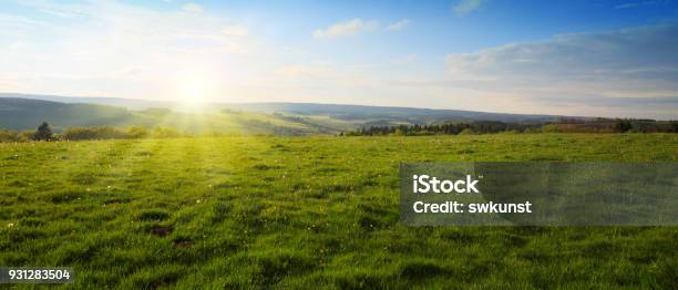 Beautiful Sunset Over The Green Spring Field Stock Photo - Download Image Now - Meadow, Agricultural Field, Landscape - Scenery