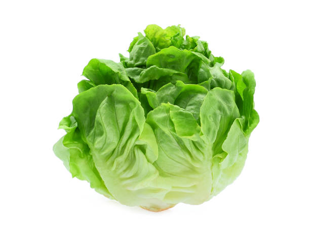 istock fresh baby cos, green lettuce isolated on white background 931283978