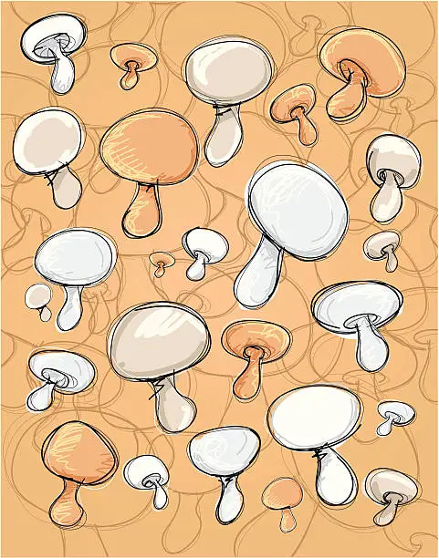 Vector illustration of fungi