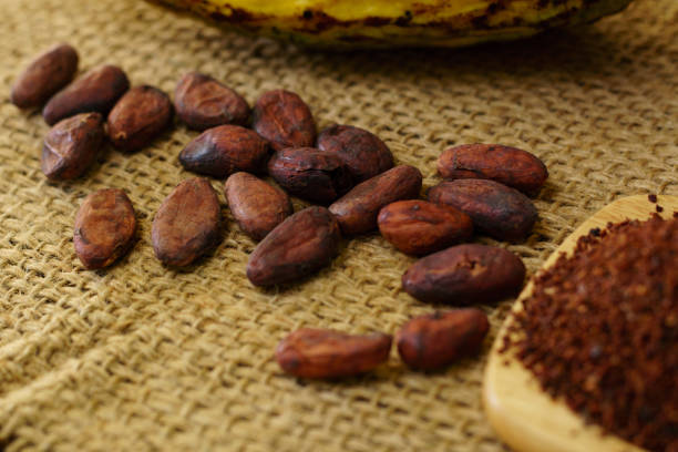 istock Cacao beans and cocoa fruit, cacao nibs on background 931289784