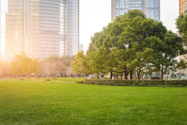 istock Shanghai Lujiazui Financial Center Park 931290134