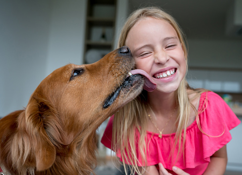 Cheerful little girl and her pet licking her cheek looking very happy  and smiling