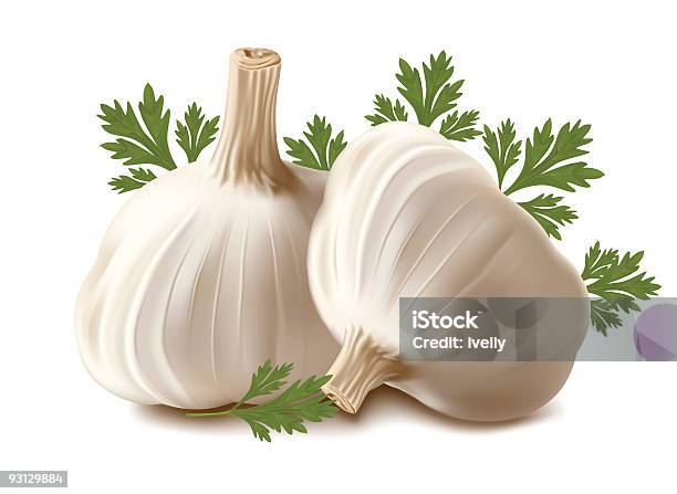 Garlic With Parsley Stock Illustration - Download Image Now - Clove - Spice, Color Image, Food